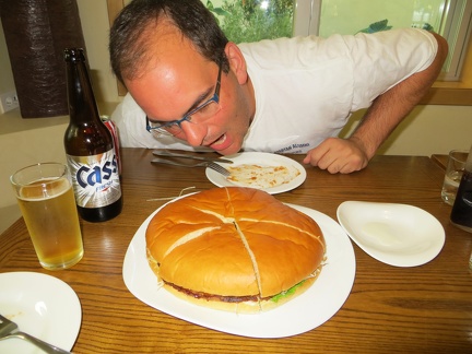 Giant Hamburger1